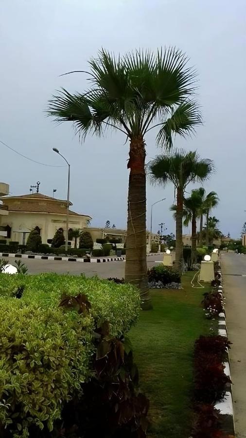 Oasis: North Coast Family Retreat With Rooftop And Private Gardens Dawwar Aba Mahrus