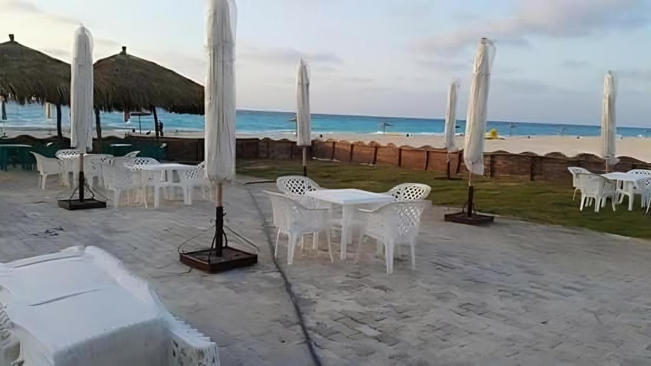Oasis: North Coast Family Retreat With Rooftop And Private Gardens * Dawwar Aba Mahrus